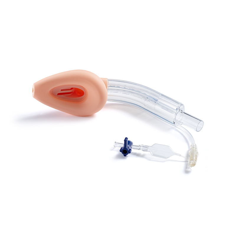 Double-Lumen Anti-Aspiration Laryngeal Mask Airway